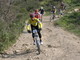 Sanremo: la Giunta approva il progetto per gli interventi sui percorsi di mountain bike tra San Romolo e Monte Bignone