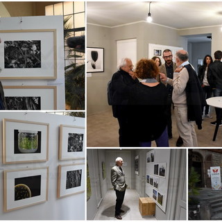 Sanremo: il verde e la fotografia, un connubio perfetto per la mostra 'Viridi' che scatta domani (Foto e Video)