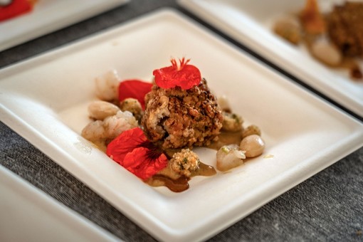 Evento 'MareCultura' a Pian di Nave di Sanremo Evento 'MareCultura' a Pian di Nave di Sanremo