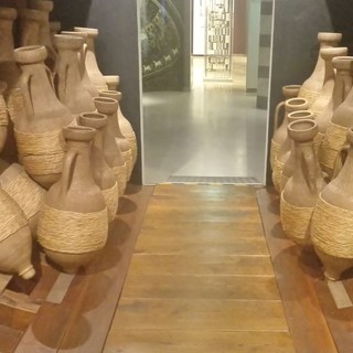 Viaggio nel territorio della nostra provincia: ecco il museo dell'olivo di Imperia, con Alberto Berruti (Foto)