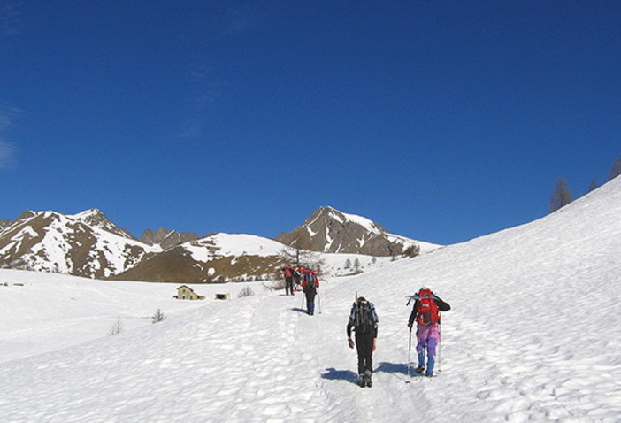 Domenica prossima l'escursione con le ciaspole verso il Monte Chajol Domenica prossima l'escursione con le ciaspole verso il Monte Chajol