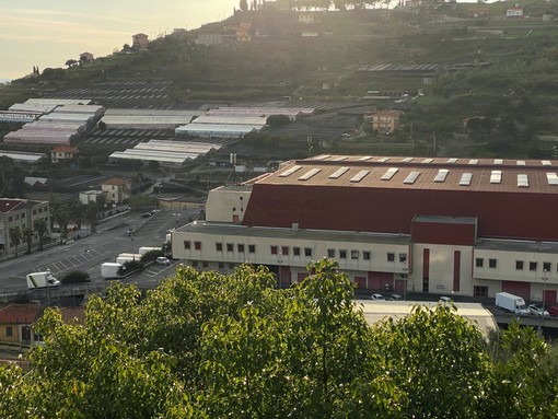Il Mercato dei Fiori di valle Armea Il Mercato dei Fiori di valle Armea