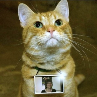 Sanremo: è morta questa notte Mary Rodenghi, una vita dedicata agli animali randagi