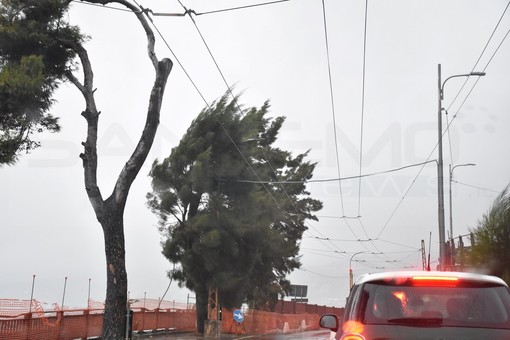 Liguria, attenzione al meteo fino a venerdì: in arrivo piogge e venti intensi Liguria, attenzione al meteo fino a venerdì: in arrivo piogge e venti intensi