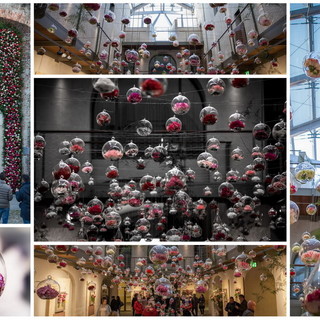 Sanremo: sfiorati i 20mila spettatori a Santa Tecla per la mostra 'I Grandi Inventori dei Fiori' (Foto)