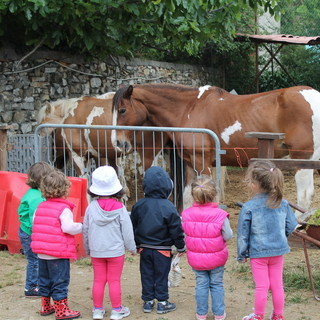 Imperia: i bimbi del nido d'infanzia 'Mio piccolo mio' ospiti del progetto equestre 'Stella e i suoi amici'