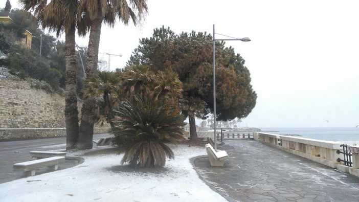 Imperia: temperature in calo nella notte e la città si è svegliata 'bianca' (Foto e Video)