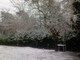 La neve di poco fa a San Romolo La neve di poco fa a San Romolo