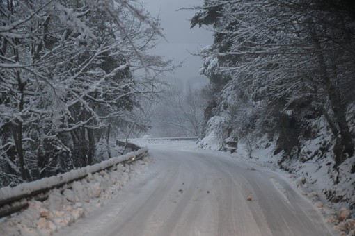 La nevicata del 4 gennaio scorso a monte Bignone La nevicata del 4 gennaio scorso a monte Bignone