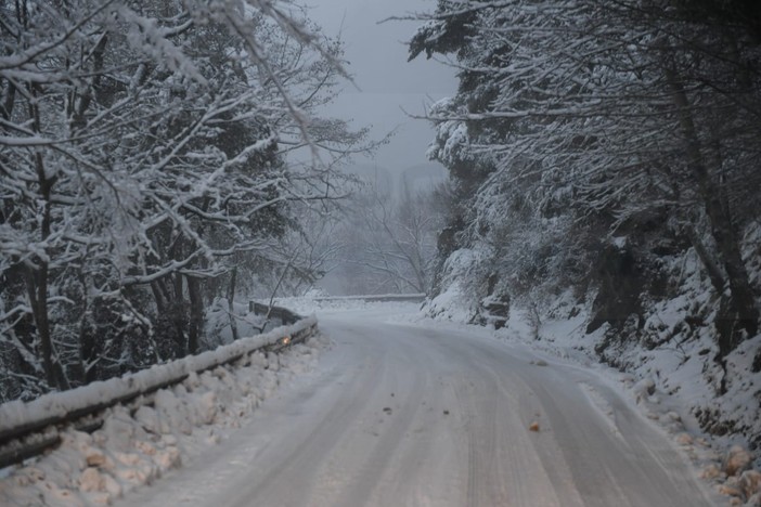 La nevicata del 4 gennaio scorso a monte Bignone La nevicata del 4 gennaio scorso a monte Bignone