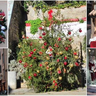 La magia del Natale a Molini di Triora: l'albero addobbato è stato portato dall'alluvione La magia del Natale a Molini di Triora: l'albero addobbato è stato portato dall'alluvione