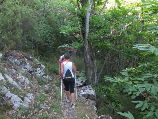 Un'altra splendida giornata all’insegna del Nordic Walking si è conclusa domenica scorsa a Glori