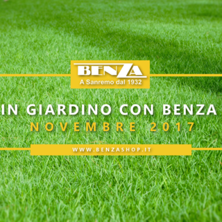 "In giardino con Benza": i consigli di Novembre dell'agronomo Enrico Leva sul tappeto erboso, le piante da frutto e le piante da orto