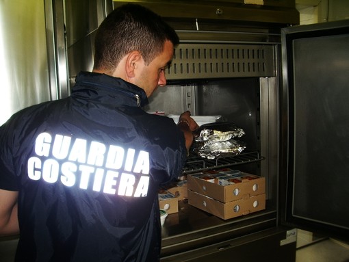Guardia Costiera: aliquota di personale distaccata presso il ministero delle politiche agricole