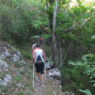 Un'altra splendida giornata all’insegna del Nordic Walking si è conclusa domenica scorsa a Glori