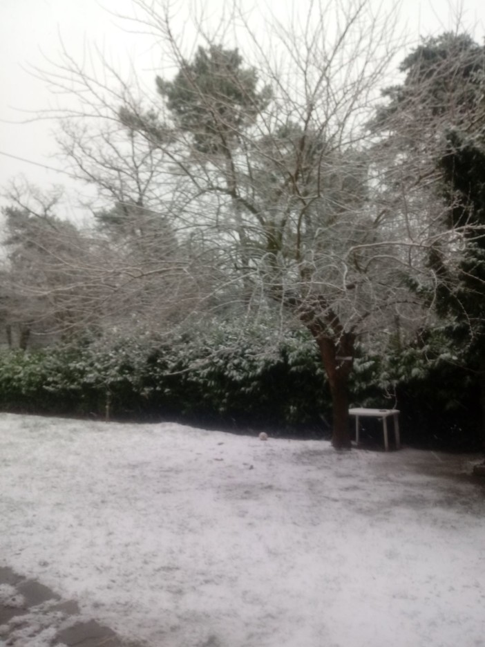 La neve di poco fa a San Romolo La neve di poco fa a San Romolo
