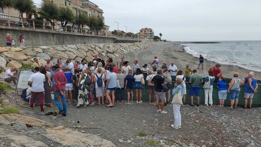 Riva Ligure, 63 tartarughine già in mare: la sorpresa è che sono nate tutte di giorno Riva Ligure, 63 tartarughine già in mare: la sorpresa è che sono nate tutte di giorno