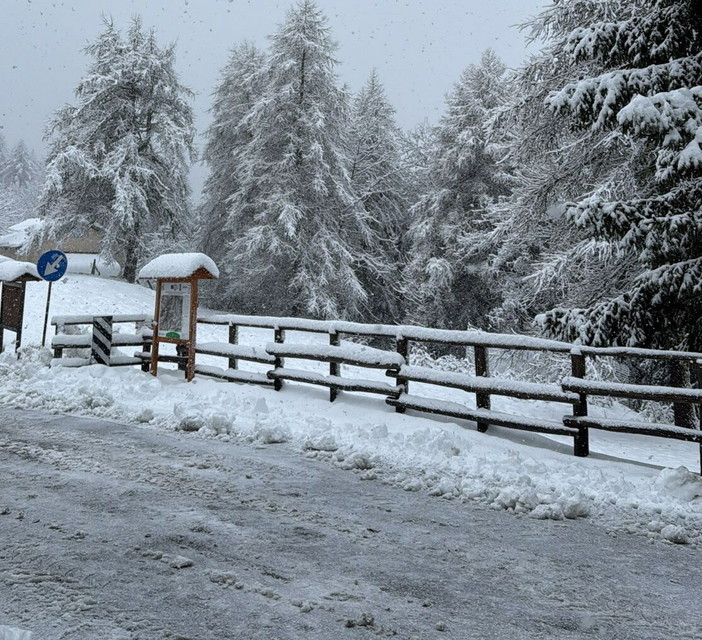 Allerta meteo gialla per neve e vento in Liguria: disagi attesi sui versanti padani, la provincia di Imperia resta esclusa