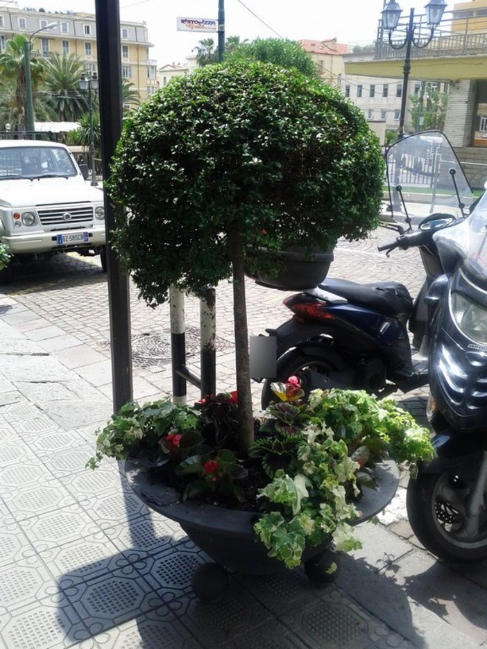 Sanremo: posizionate questa mattina delle nuove fioriere in via Manzoni