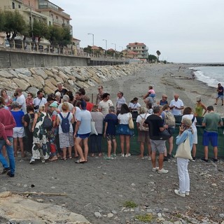Riva Ligure, 63 tartarughine già in mare: la sorpresa è che sono nate tutte di giorno Riva Ligure, 63 tartarughine già in mare: la sorpresa è che sono nate tutte di giorno
