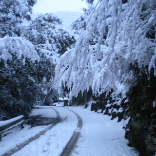 Maltempo sul ponente: salva come sempre la nostra provincia, la neve sta colpendo solo l'entroterra di Imperia