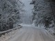 La nevicata del 4 gennaio scorso a monte Bignone La nevicata del 4 gennaio scorso a monte Bignone