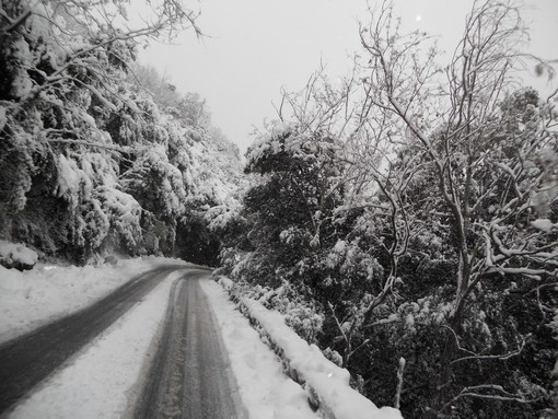 Maltempo: vento forte sulla costa in provincia di Imperia, nevica sulla SS20, ha smesso sul Colle di Nava