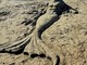 Arte in spiaggia ad Arma di Taggia: un giovane artista scolpisce Nettuno nella sabbia davanti al Ruffini (Foto)