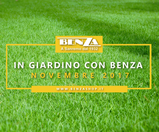 "In giardino con Benza": i consigli di Novembre dell'agronomo Enrico Leva sul tappeto erboso, le piante da frutto e le piante da orto