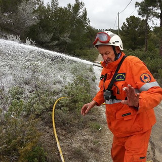 Perinaldo: eliminato questa mattina un altro nido di 'Vespe Velutine' sulla strada provinciale