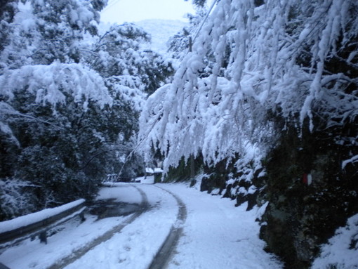 Maltempo sul ponente: salva come sempre la nostra provincia, la neve sta colpendo solo l'entroterra di Imperia