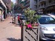 Le nuove fioriere di via Pietro Agosti Le nuove fioriere di via Pietro Agosti
