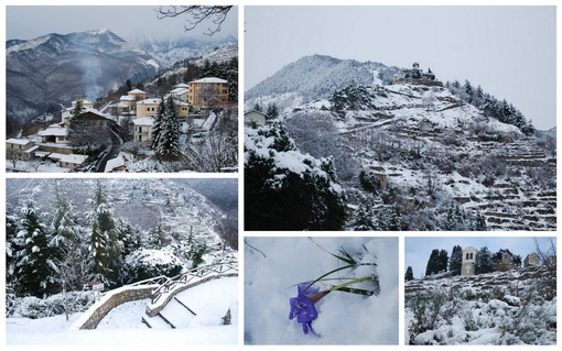 Maltempo in provincia: nevica anche a bassa quota, imbiancate le frazioni collinari di Sanremo, Imperia e Ventimiglia; Allerta 1 Maltempo in provincia: nevica anche a bassa quota, imbiancate le frazioni collinari di Sanremo, Imperia e Ventimiglia; Allerta 1