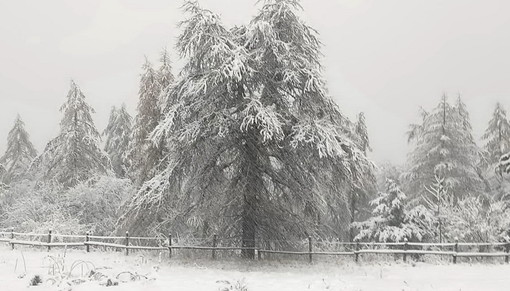 Maltempo in arrivo, scatta l'allerta gialla in tutta la provincia di Imperia: domani prevista neve anche a bassa quota Maltempo in arrivo, scatta l'allerta gialla in tutta la provincia di Imperia: domani prevista neve anche a bassa quota