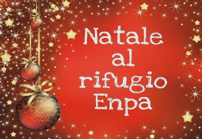 Natale 2019 al rifugio Enpa di Sanremo: gli amici a 4 zampe fanno gli auguri alla città... a modo loro (Video)