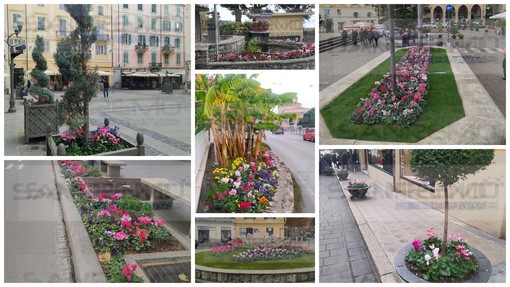 Sanremo: anche le aiuole e i giardini col vestito della festa per accogliere i turisti a Capodanno (Foto) Sanremo: anche le aiuole e i giardini col vestito della festa per accogliere i turisti a Capodanno (Foto)