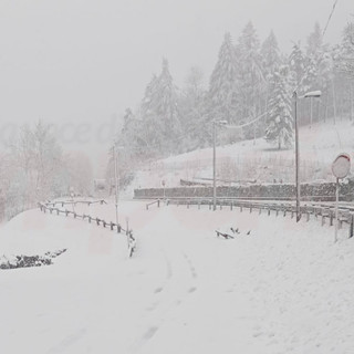 Allerta neve per oggi e domani ma nel savonese e genovesato: pioggia per l'imperiese con nevicate sopra i 1.000 metri
