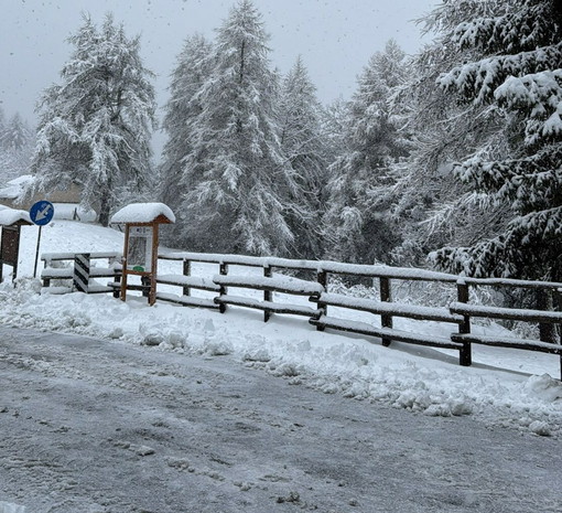 Allerta meteo gialla per neve e vento in Liguria: disagi attesi sui versanti padani, la provincia di Imperia resta esclusa