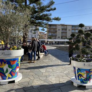 Sanremo: progetto di sponsorizzazione delle aiuole, 'Sanremo Piante' e 'Benza' omaggiano il comune di due vasi in piazza Colombo Sanremo: progetto di sponsorizzazione delle aiuole, 'Sanremo Piante' e 'Benza' omaggiano il comune di due vasi in piazza Colombo
