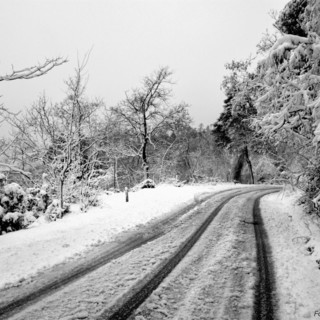 Dopo la nostra anticipazione di questa mattina ecco la conferma: allerta neve dell'Arpal per domani (Video)