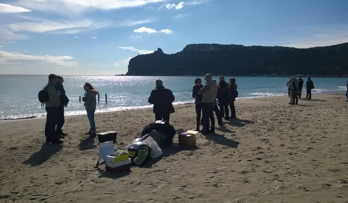 Grande successo di pubblico per la sanremese NeMeA Sistemi sui litorali del Poetto di Cagliari Grande successo di pubblico per la sanremese NeMeA Sistemi sui litorali del Poetto di Cagliari