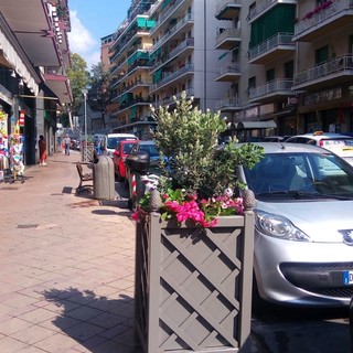 Le nuove fioriere di via Pietro Agosti Le nuove fioriere di via Pietro Agosti