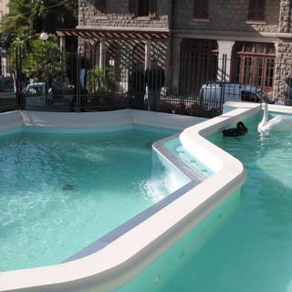 Sanremo: l'alimentazione dei cigni di Villa Ormond, la Albenga Fruit srl replica con alcune precisazioni Sanremo: l'alimentazione dei cigni di Villa Ormond, la Albenga Fruit srl replica con alcune precisazioni