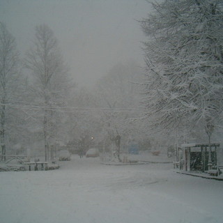 Maltempo sul ponente e sulle Alpi dove è comparsa la prima neve: calo delle temperature