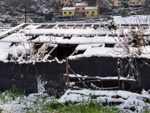 Ventimiglia: ieri l'aiuto della protezione civile 'Veziano', i ringraziamenti di due lettori