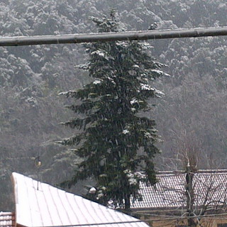 Maltempo sul ponente: ecco le foto della nostra lettrice Laura della fitta nevicata a Pigna
