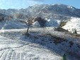 Altra zona del Colletto Altra zona del Colletto