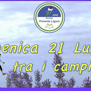 Valle Argentina: domenica prossima torna la 'Festa della Lavanda', alla 'Antica Distilleria Cugge' di Agaggio Inferiore