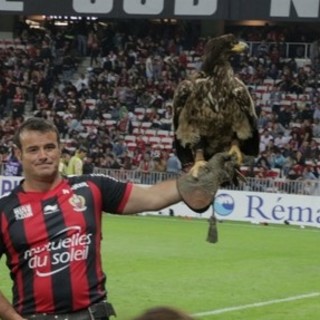 Mèfi, l'aquila che accoglie i calciatori all'ingresso in campo