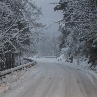 La nevicata del 4 gennaio scorso a monte Bignone La nevicata del 4 gennaio scorso a monte Bignone